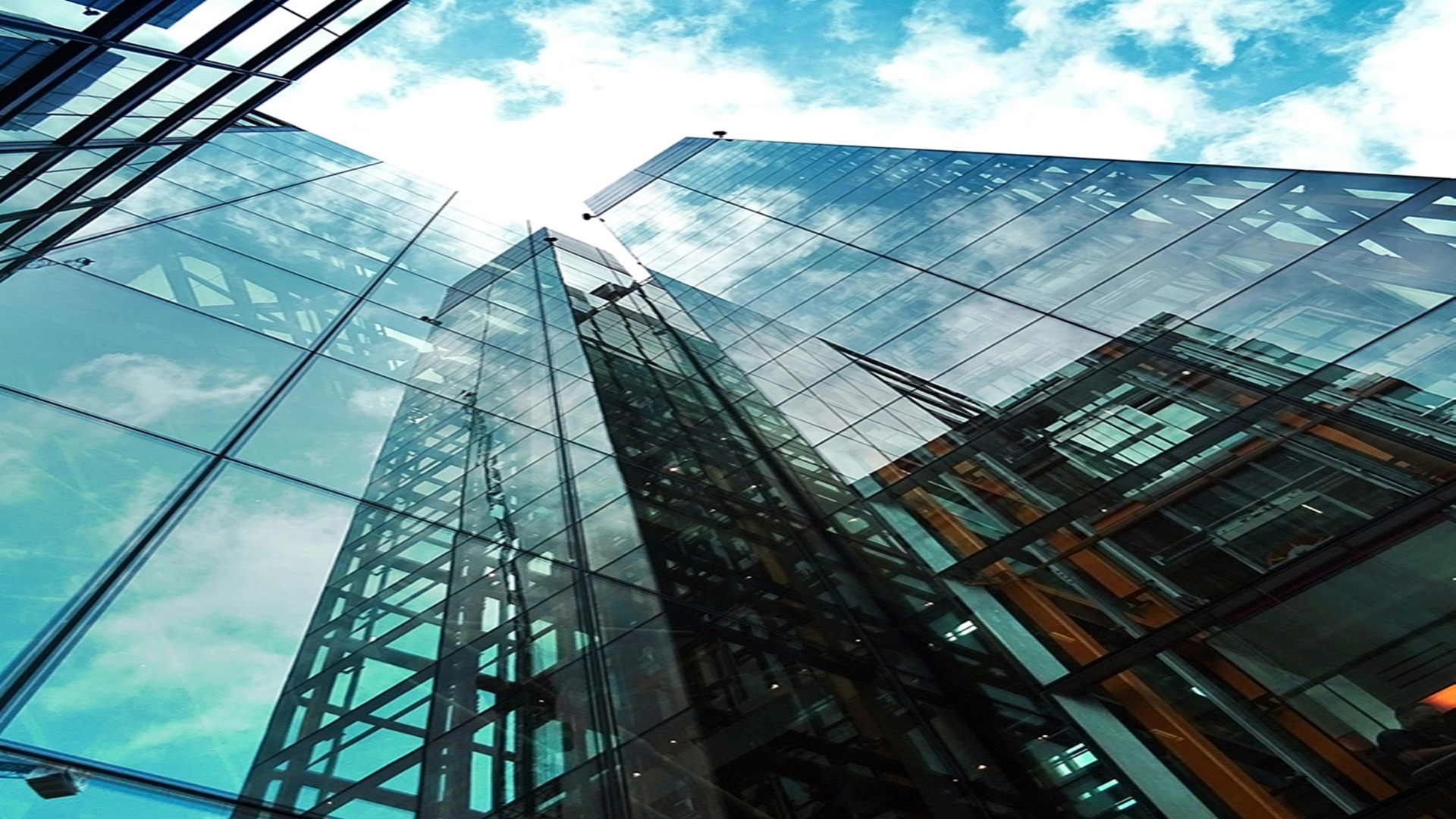 남울산 노르웨이숲