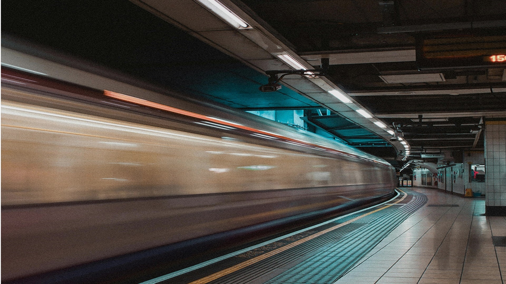 남울산 노르웨이숲